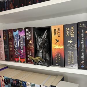 Olvasó sárkány booknook